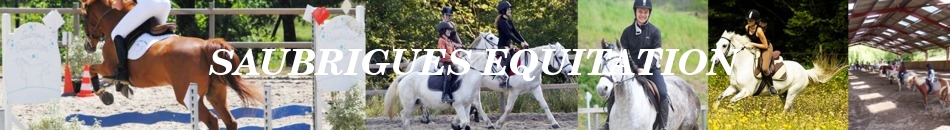 SAUBRIGUES EQUITATION